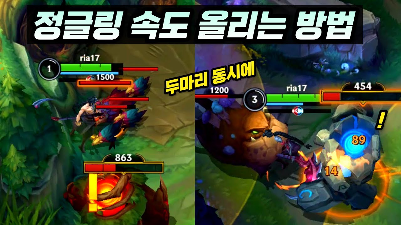 와일드리프트 케인 랭커 리아님의 가이드【챔피언 설명】