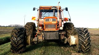 Top Fiat 1300 Dt Super - 640 Dt Dondi Bertarelli