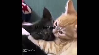 No Me Mires Con Esos Ojos