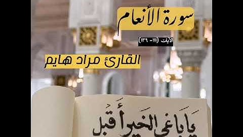#تلاوة عطرة من سورة الأنعام الليلة 8 #رمضان 1446هـ القارئ مراد هايم من مسجد حي 40 هكتار جيجل 🕌