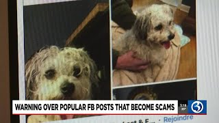 Warning over popular Facebook posts that become scams