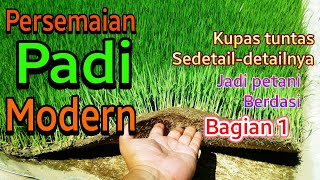 Penyemaian padi modern || kupas tuntas|| Bagian 1