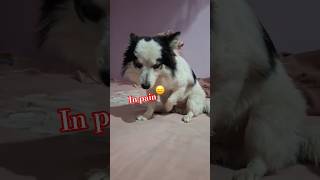 He Is In Pain, It Was His Injection Day