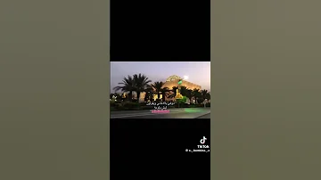 الاغنية ادماااان العيون العسلية 