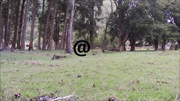 Dry fire target video.