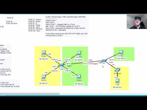 VLANs and Trunks Basics in Packet Tracer - Part 2