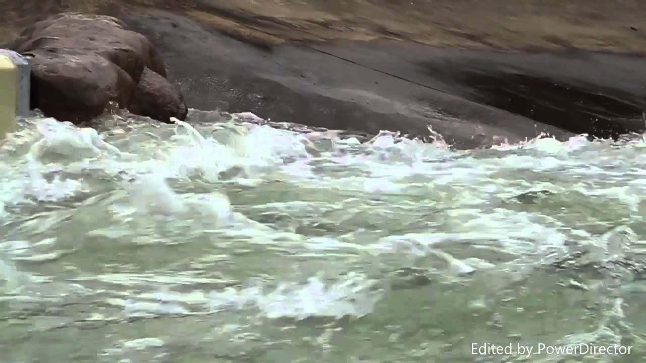 River Features/Hazards Undercut YouTube