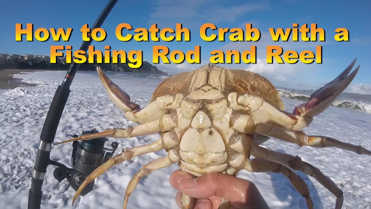 How to Catch Crab with a Fishing Rod 