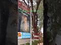 Pilibhit Tiger Safari Booking Mustafabad Gate