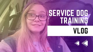 Service Dog Training Vlog! (10/10/2022)