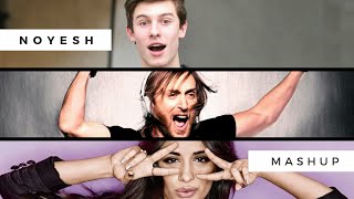 David Guetta & Raye VS Shawn Mendes & Camila Cabello - Don't Go Away, Senorita (Noyesh Mashup)