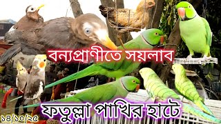 ১০৩- বন্যপ্রাণীতে সয়লাব ফতুল্লা পাখির হাট  Fatullah Bird Market is full of wildlife-দেশি পাখি কমদামে