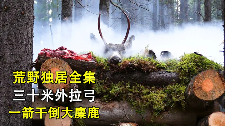 《荒野獨居》第八季全集，三十米外拉弓，一箭幹倒大麋鹿，用石頭搭建壁爐，，搭建豪華庇護所，天天吃烤肉！紀錄片 I captured an elk and built a stone fireplace - 天天要聞