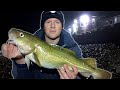 Cod fishing from the Beach - Sea fishing UK