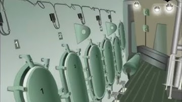 Main Engine Crankcase Explosion Explained 