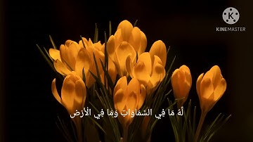 سورة الفاتحة و آية الكرسي للقارئ الشيخ حسن علي | Surat AL-Fatha & Ayat Al-Kursi