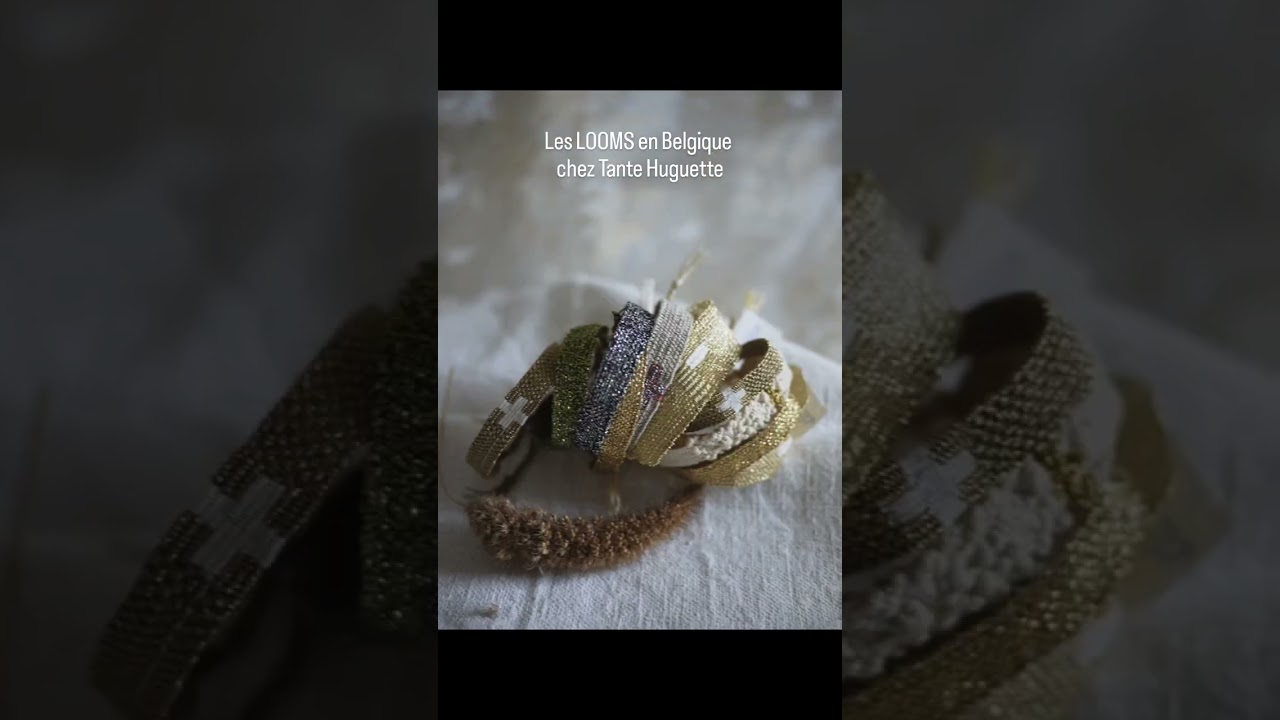 Les LOOMS passent la frontière, direction la Belgique, pour rendre visite à Tante Huguette pour les fêtes.
