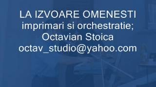 LA IZVOARE OMENESTI Octavian Stoica