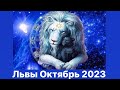 Львы 🔥Октябрь 2023