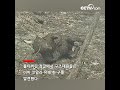 호주 정글 큰불 계속 피어올라, 코알라 백마리 숨질듯 |CCTV 한국어방송