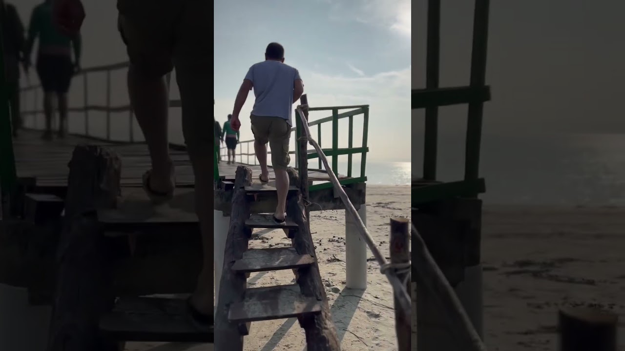 Kochikhali Beach At Sundarban Mangrove Forest #sundarban #bangladesh #shorts #gyaanpapi