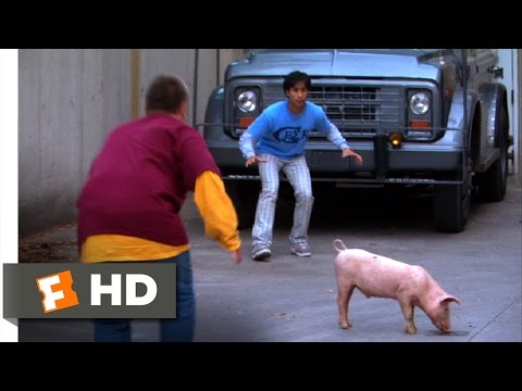 American Pie Presents Beta House (6/8) Movie CLIP - Parkour Pig Chase (2007) HD