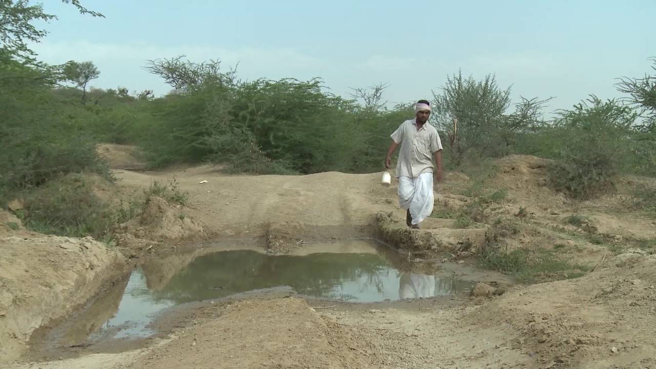 No Open Defecation | Swachh Bharat Mission | Swachh Gujarat