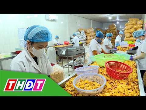 Dong Thap businesses gear up for year-end growth | Economy - 09/09/2026 | THDT