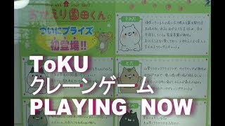 【クレーンゲーム】乱獲ではありません、全種類コンプリートをしただけです