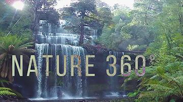 Virtual Nature 360° - Nature Meditation for VR Quest
