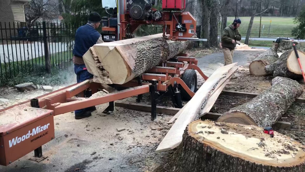Lt35 woodmizer white oak - YouTube
