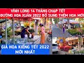 VĨNH LONG 14 THÁNG CHẠP - ĐƯỜNG HOA XUÂN Đổ Bộ Thêm HOA KIỂNG MỚI, CẬP NHẬT GIÁ HOA TẾT 2022 |KPVL