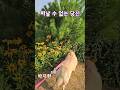 떠날 수 없는 당신#박지현#미스터트롯2#더트롯쇼#김상배#트롯#노래#가수