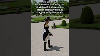 Napoleon was afraid of cats! #history #napoleon #ai #visualization #cats #france #sora #shorts