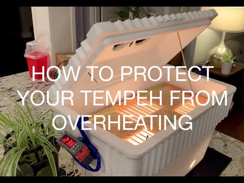 Temperature For Tempeh