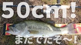 むねおの釣ったバスで東京タワー　＃4