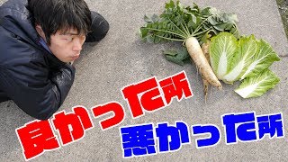 【家庭菜園】育ててみて良かった所、悪かった所(2018秋～大根、白菜編)