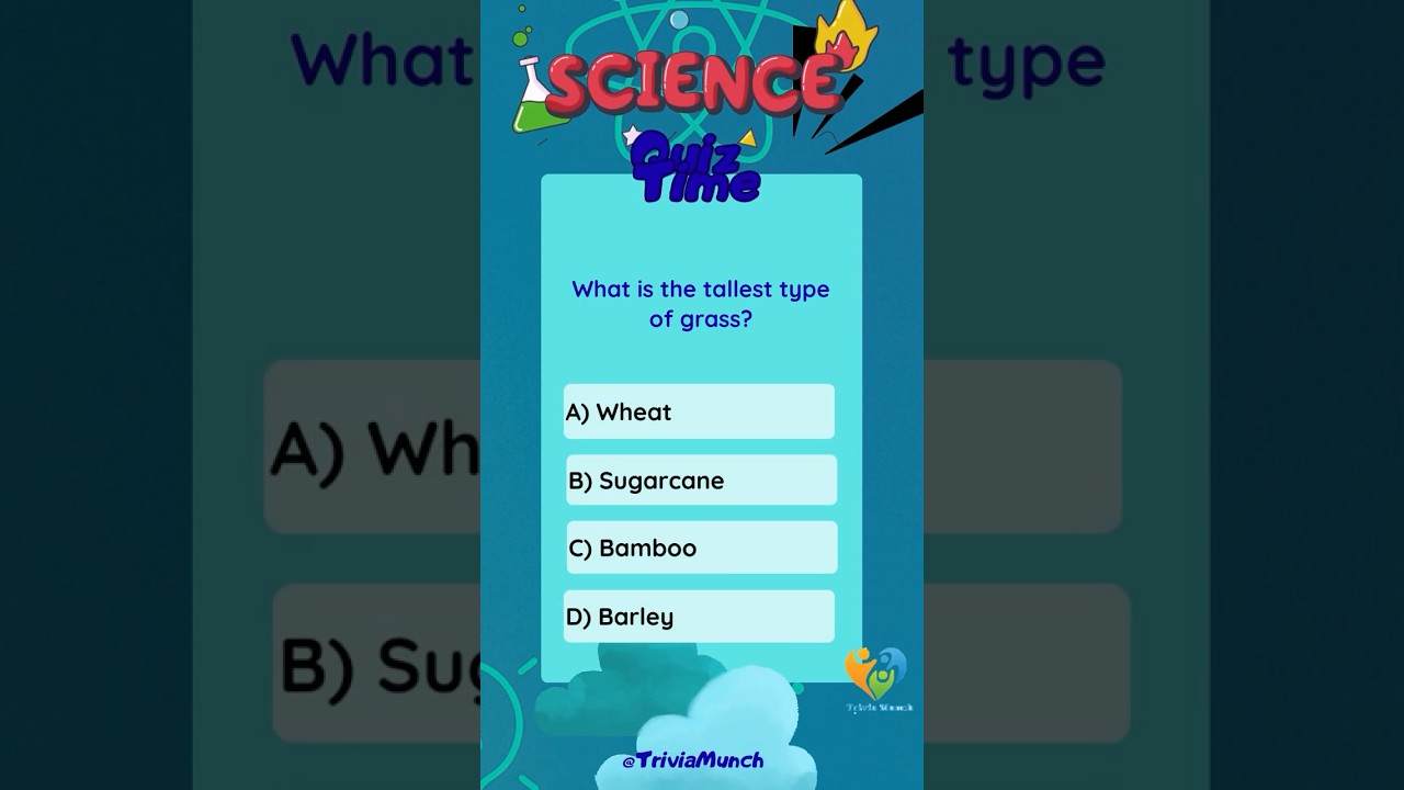 Научная викторина: Какая трава самая высокая? #научныевопросы #научнаявикторина #научныетривиатуры
