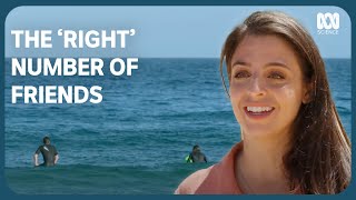 Famous How Many Friendships Can You Really Keep At Once? Profile