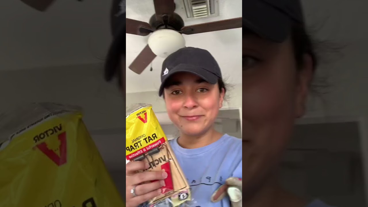 12- tried and failed to rat proof this place 🙃 