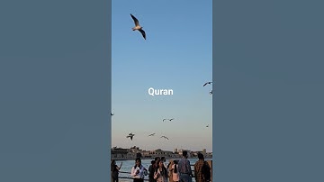surah qaf 27-33, سورة ق،تلاوت القرآن الكريم، dubai islamic channel