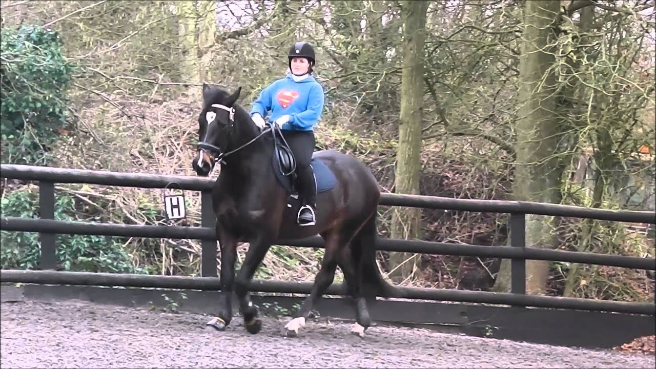 Class ridden. Class ridden