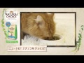 ニュートロ™ ナチュラル チョイス™ キャットフード 食いつき比較動画