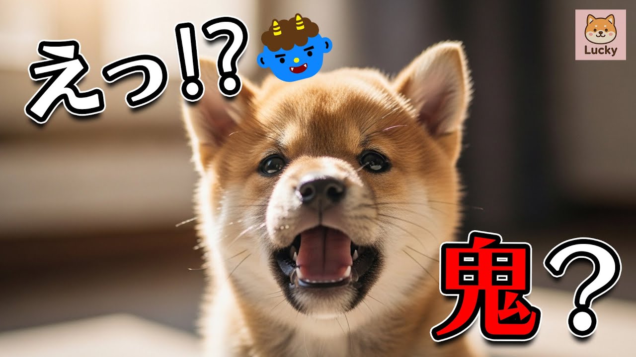【柴犬ラッキー】初めての鬼に完全フリーズ、わんこの初節分 【Shiba Inu Lucky】Puppy’s First Setsubun
