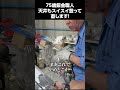 軽バンの天井を鈑金修理　＃70代　＃軽自動車　＃修復