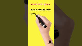 #kiesselbach plexus #anatomy #nose blood supply #ENT #youtubeshorts #education #doctors #doctors