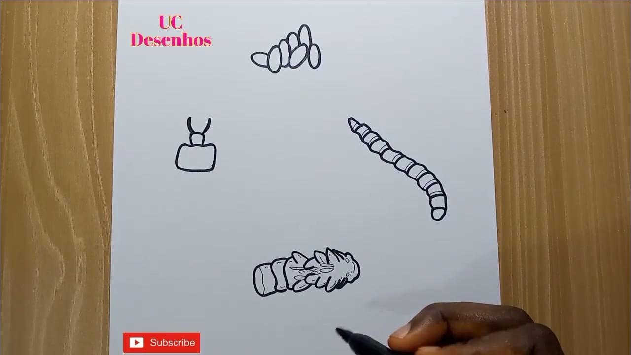 How To Draw A Lifecycle of a Mealworms step by step/ Desenhe o ciclo de