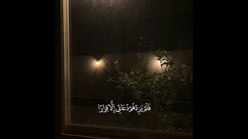 سورة نوح - القارئ شريف مصطفى