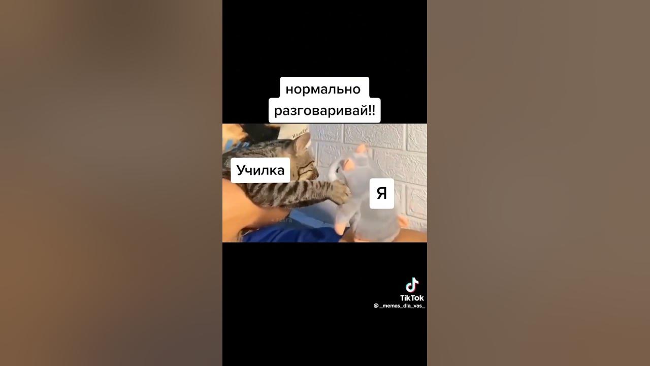 мем из тт - YouTube