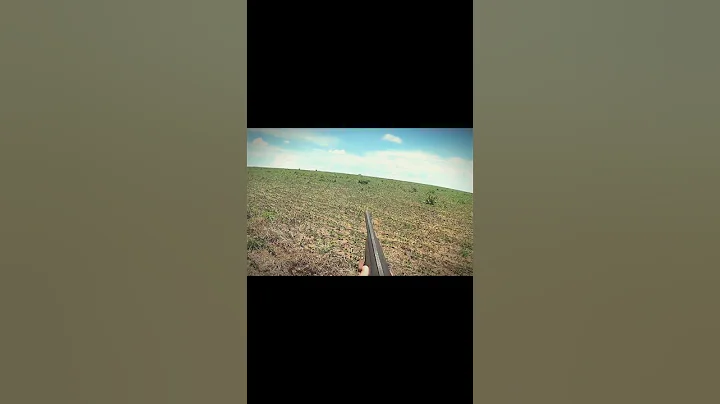 #wildboar#cinghiale# # #caccia # #caccia # на кабана лучше всего охотиться на коротких дистанциях